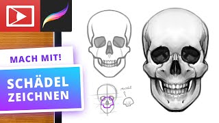 Schädel digital zeichnen  Procreate Tutorial [upl. by Christophe708]