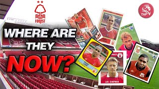 From the pitch to the unknown Nottingham Forest players journeys revealed [upl. by Enoved]