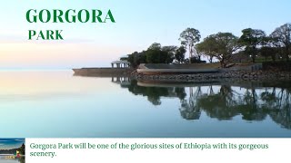 Update on the Gorgora Park Project  Amazing Views  Ethiopia [upl. by Cornall822]