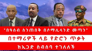 quotበዓሰብ ስንጠበቅ በሶማሊላንድ መጣንquot በተማሪዎች ላይ የድሮን ጥቃት ከኢጋድ ስብሰባ ተገለለች [upl. by Larrisa]