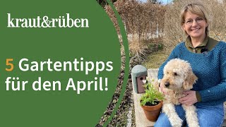 Gartenkalender 5 Tipps für den April [upl. by Libove]