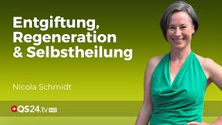 B3 und CO2 – Die Wunderwaffen für Entgiftung und Power  Erfahrungsmedizin  QS24 [upl. by Newhall]