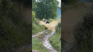 Tenere 700 Vs Deep Puddles check it out riders enduro adventuremotorcycle offroad [upl. by Oirad]