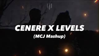 CENERE X LEVELS Lazza Avicii Mattia Cipriani Mashup [upl. by Drogin381]