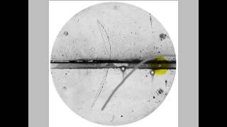 How to identify a positron [upl. by Elrae]