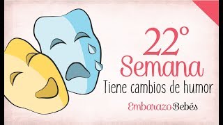 SEMANA 22 de Embarazo  6º Mes  Semana a semana [upl. by Audly454]