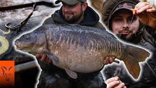 ONE RIG 42 x 30lb CARP  Norton Disney  Ches Boughen [upl. by Esialb]