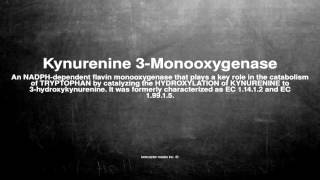 Medical vocabulary What does Kynurenine 3Monooxygenase mean [upl. by Draper]