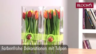 Farbenfrohe Deko mit Tulpen  DIY Frühlingsdeko  spring decoration  BLOOM’s Floristik [upl. by Trebornhoj]