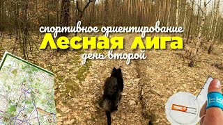 Ориентирование  Orienteering  Headcam [upl. by Akihsan136]