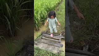 MOA MAIN DI SAWAH mimidanmoa shorts youtubeshorts shortsvideo [upl. by Ahseiuqal]