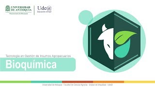 Bioquímica  La química de los aminoácidos [upl. by Zenas]