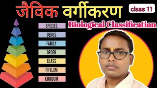 Biological Classification Class 11 ll Jaivik Vargikaran ll Biological Classification [upl. by Bruns]