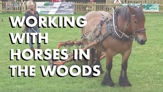 Working with Horses in the Woods [upl. by Enitsirhc]