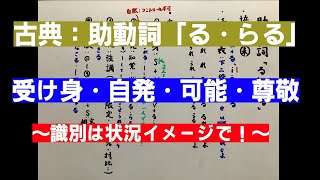 【古典】助動詞「る」「らる」～受け身・自発・可能・尊敬の識別～ ＃古典文法 大学受験 国語 [upl. by Nosam523]