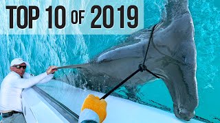 Top 10 Best Fishing Moments from 2019 [upl. by Neyrb]