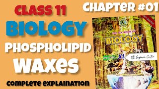 Phospholipid Waxes Chapter01 Biological molecules Class 11  Sindh board [upl. by Liliane]