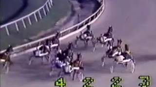 1983 Meadowlands GERALDINE BROLINE Merrie Annabelle Trot [upl. by Ramsay]