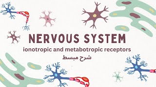 Ionotropic and Metabotropic receptors  شرح لمتسقبلات الخلايا العصبيه [upl. by Suhail567]