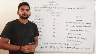 TerpenesPlants Secondary MetabolitesCSIR NET Part1 in Hindi [upl. by Eerahs278]