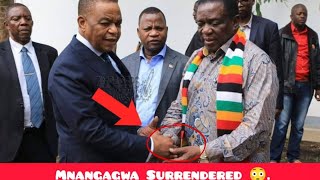 Finally Mnangagwa Surrendered 😳 [upl. by Ylaek]