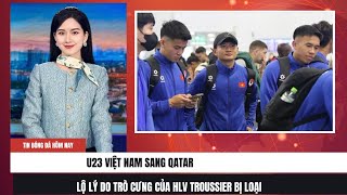 U23 Việt Nam sang Qatar lộ lý do trò cưng của HLV Troussier bị loại Tin bóng đá mới nhất hôm nay [upl. by Libbey]