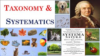 Taxonomy  Systematics  Carolus Linnaeus  Part 1 [upl. by Uziel]