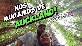 NOS MUDAMOS DE AUCKLAND  Working Holiday Visa Nueva Zelanda [upl. by Neoma]