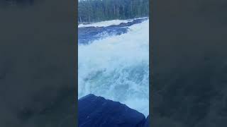 Storforsen sweden waterfall nature subscribe like music hazaragimusic relaxing funny [upl. by Anyat]