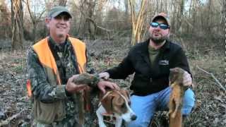 Squirrel Hunting  Smackdown with Some Fine Hunting Dogs  Sportsman TV [upl. by Waechter747]