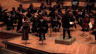 Max Bruch Concerto for violin and viola op88 [upl. by Brabazon110]