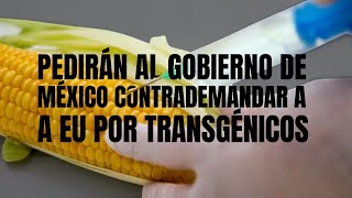 Pedirán al gobierno de México contrademandar a EU por transgénicos contralíneatv eu news [upl. by Adnwahsor171]