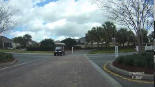 Dog driving golf cart [upl. by Nossila]