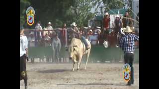 JARIEPO EN LA GARIBALDI DE CHICAGO CON RANCHO LA HERRADURA [upl. by Phelgen]