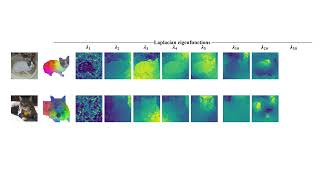 ECCV 2024ZeroShot Image Feature Consensus with Deep Functional Maps [upl. by Nnayd]