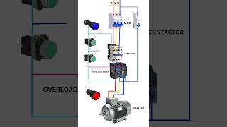 Dol starter complete wiring diagram and connection direct online startershorts electrical status [upl. by Mallorie]