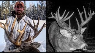 Saskatchewan Whitetail Hunt [upl. by Franciscka]