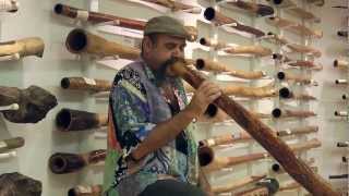 Mark Atkins Didgeridoo  Spirit Gallery [upl. by Ezalb]