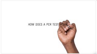 How does a COVID19 PCR test work [upl. by Winnifred]