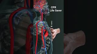 CPR 3D animationHTN Medical Media [upl. by Ardnauq]