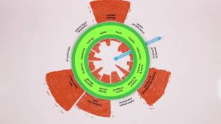 1 Change the Goal  17 Doughnut Economics [upl. by Aicissej]