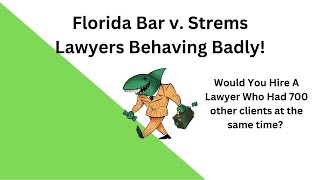 Florida Bar v Strems  Lawyers Behaving Badly [upl. by Enoob54]