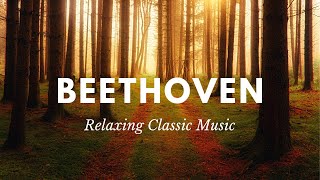 ❤ BEETHOVEN 🎹 Música RELAJANTE Clásica más famosa para Bebés Estudiar Dormir Leer [upl. by Ecinreb]