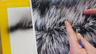 The Airbrush Academy Guide to Airbrushing Realistic Fur [upl. by Salomon949]