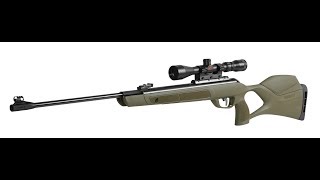 Gamo GMagnum 1250 Jungle 55mm [upl. by Licko]