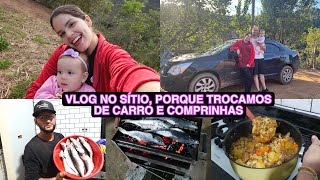 FIZEMOS JANTAR NUTRITIVO  TOUR NO CARRO MOSTREI A REALIDADE  PEIXE NA BRASA COMPRINHAS [upl. by Odawa28]