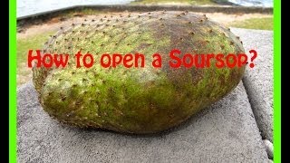 How to cut and eat Soursop [upl. by Vish270]