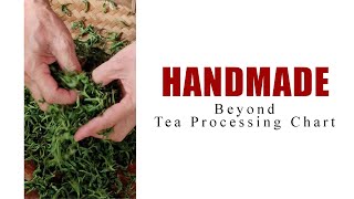 How Green Tea is Made Handmade Chinese Green Tea Processing [upl. by Joung]