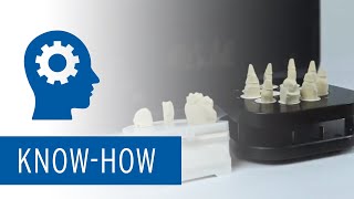 Multi Die Scan Tutorial with Ceramill Map scanners [upl. by Guarino]