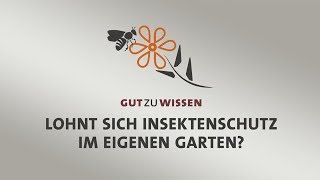 gutzuwissen Lohnt sich Insektenschutz im eigenen Garten [upl. by Aramen91]